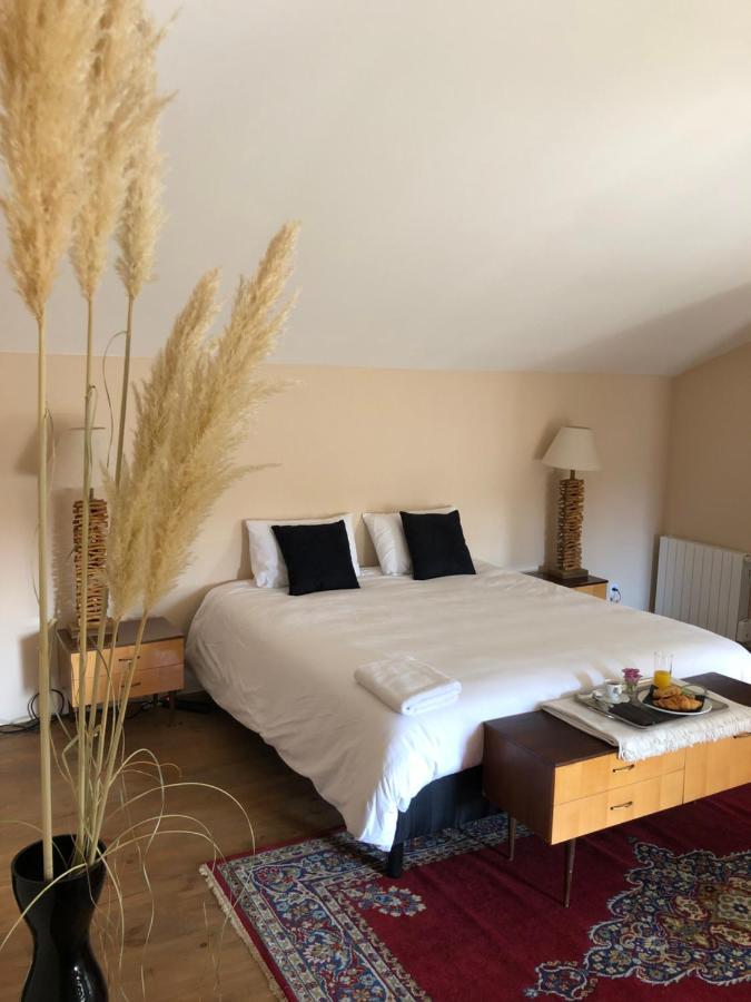 La Belle Epoque - Chambres D'Hotes & Spa Damvix エクステリア 写真